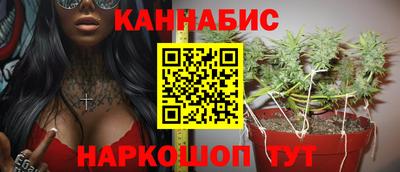 гидра Гатчина