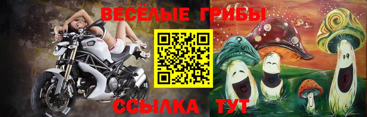 Галлюциногенные грибы мухоморы  Вход с VPN  Зерноград 